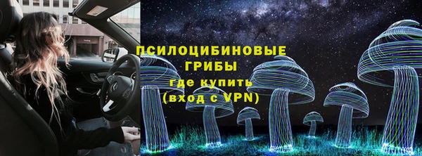 СК Алексин