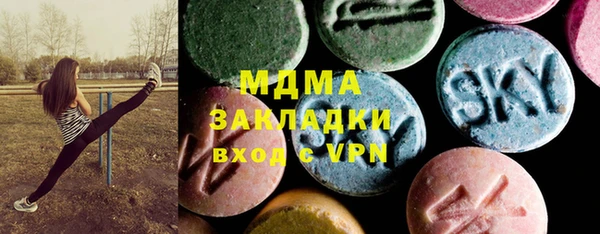 СК Алексин