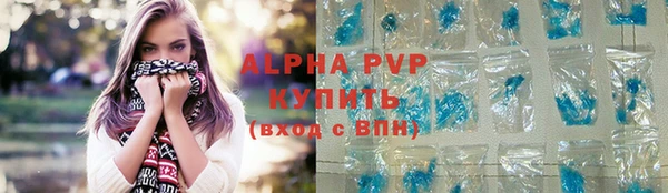 СК Алексин