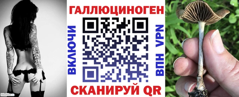 блэк спрут tor как найти закладки Чишмы Псилоцибиновые грибы Psilocybine cubensis