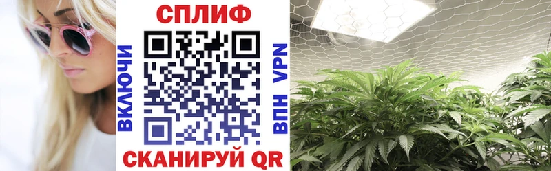 Бошки марихуана конопля kraken tor Чишмы